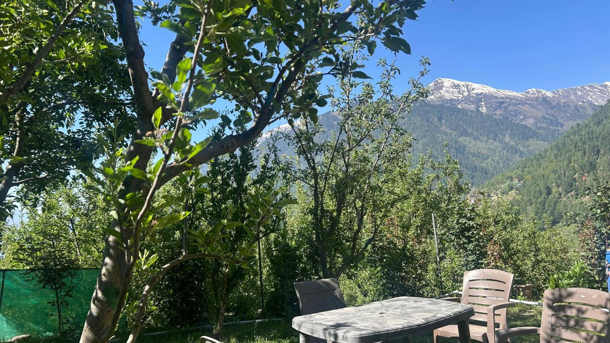 Sunface Homestay Manali  Exterior photo